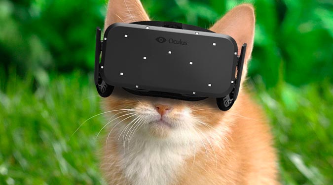 Gato Cat Virtual Reality