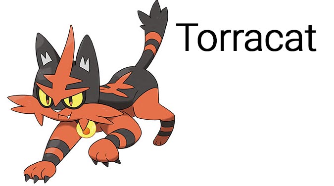 Torracat