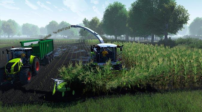 imagen de Cattle and Crops