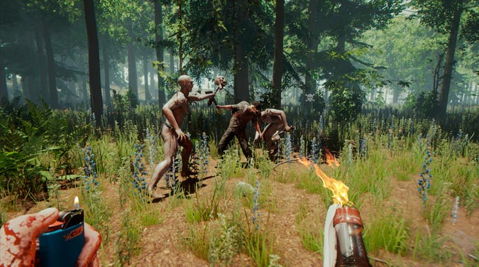 imagen de THE FOREST